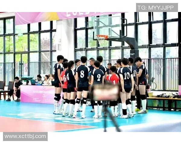 上海排球队在全国排球配合排行榜中荣获第九名展现实力与团队精神